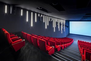 Кинотеатры и мультиплексы