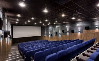 Кинотеатры и мультиплексы